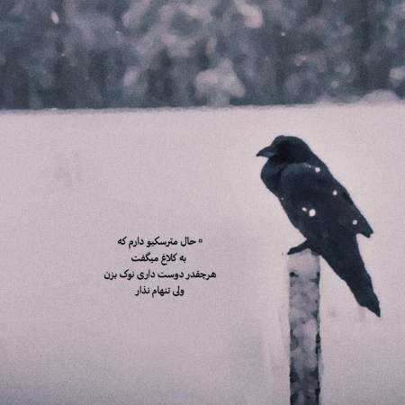 سوسن ( ورژن هوش مصنوعی ) آروم بگیر تو سینه