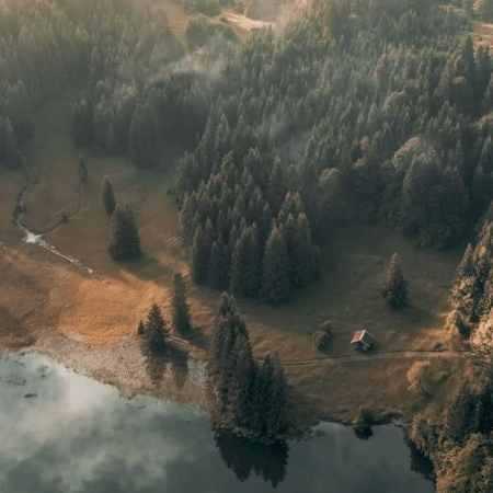 سوسن ( ورژن هوش مصنوعی ) از وفای من تو بگو