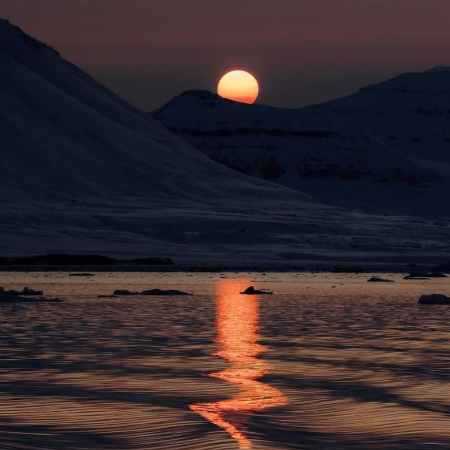 گوگوش ( ورژن هوش مصنوعی ) بس که دلش شکسته