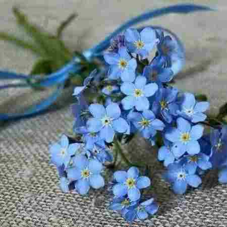 گوگوش ( ورژن هوش مصنوعی ) بین منو تو و خداس