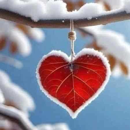 گوگوش ( ورژن هوش مصنوعی ) خیلی سخته ولی چاره ندارم