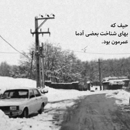 گوگوش ( ورژن هوش مصنوعی ) تا از راه میرسی