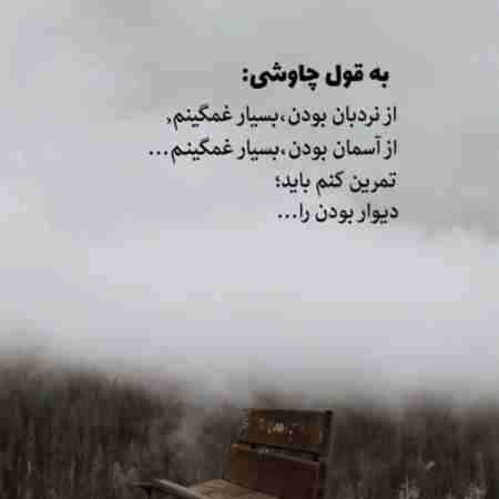 گوگوش ( ورژن هوش مصنوعی ) زبون آدمو انگار خداوندم نمی فهمه