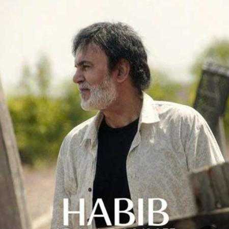 حبیب ( ورژن هوش مصنوعی ) باصدای موجای سنگین 