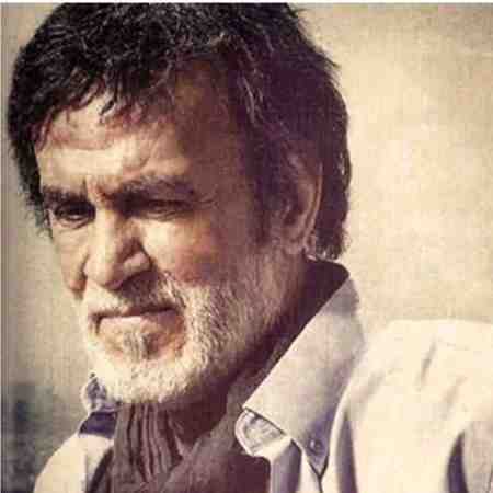 حبیب ( ورژن هوش مصنوعی ) همه خاطره هام