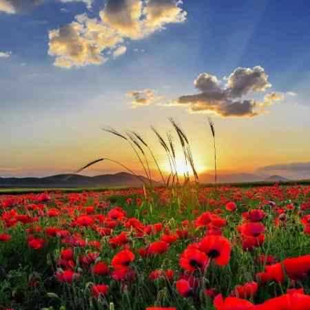 هایده و مهستی ( ورژن هوش مصنوعی ) غم روی غم گذاشتن