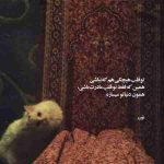 دانلود آهنگ هایده و مهستی ( ورژن هوش مصنوعی ) به نام مثل طـوفان پر گردم