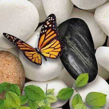 هایده ( ورژن هوش مصنوعی ) از این گوشه دنیا