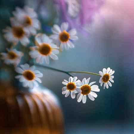 هایده ( ورژن هوش مصنوعی ) به یارم میرسونه