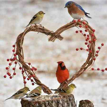 هایده ( ورژن هوش مصنوعی ) بی گمان آمدم تا که ببازم