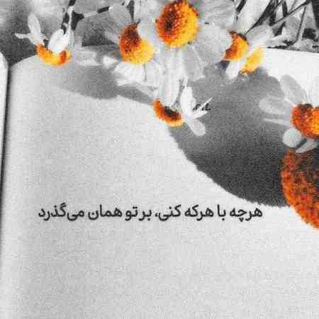 هایده ( ورژن هوش مصنوعی ) بی تو خزون سرده به خدا بهار من