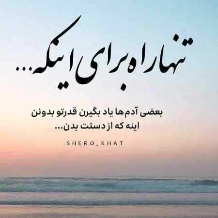 هایده ( ورژن هوش مصنوعی ) در دام توام