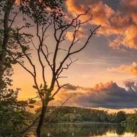 هایده ( ورژن هوش مصنوعی ) دوباره دل هوای با تو بودن کرده