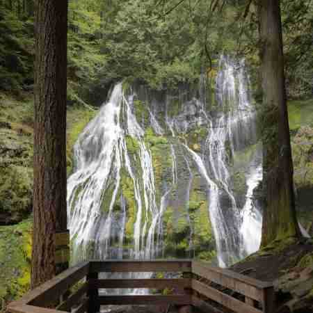 هایده ( ورژن هوش مصنوعی ) دنیا به چشم عاشق