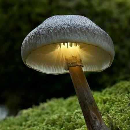 هایده ( ورژن هوش مصنوعی ) عشق دروغین