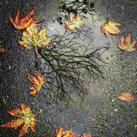 هایده ( ورژن هوش مصنوعی ) ای نور بی پایان من