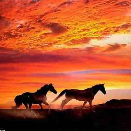 هایده ( ورژن هوش مصنوعی ) می پرستم میکنی