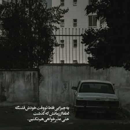 هایده ( ورژن هوش مصنوعی ) سکته 