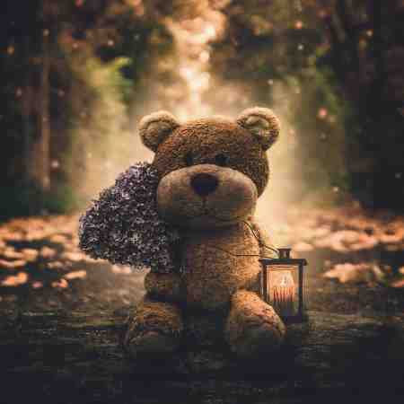 هایده ( ورژن هوش مصنوعی ) تمام جستجوی دل 