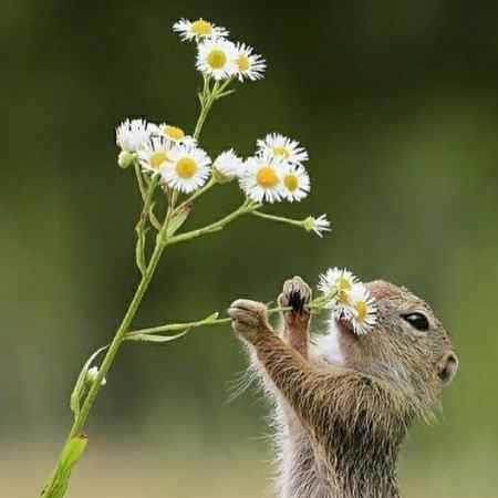 هایده ( ورژن هوش مصنوعی ) تمنای مدد کردم