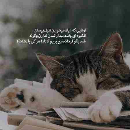 هایده ( ورژن هوش مصنوعی ) طمع جنون