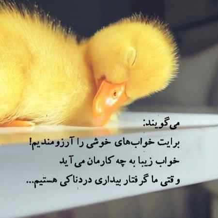 هایده ( ورژن هوش مصنوعی ) تو بسوزی و براش گریه کنی