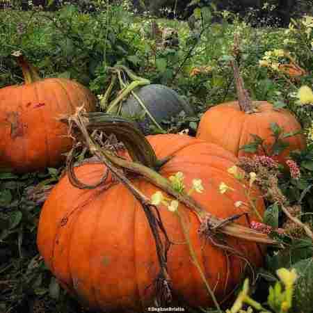 هایده ( ورژن هوش مصنوعی ) تو دستات یه اسیرم