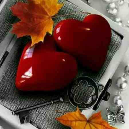 هنگامه ( ورژن هوش مصنوعی ) همیشه زندگی کردم