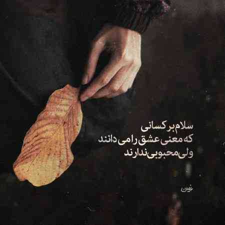 حمیرا و فاطمه مهلبان ( ورژن هوش مصنوعی ) بسوته جنگل