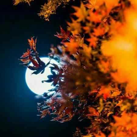 حمیرا ( ورژن هوش مصنوعی ) از برکت نور عشق