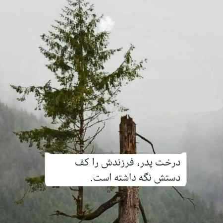 حمیرا ( ورژن هوش مصنوعی ) اسم و عشقو خط نزن