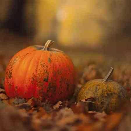 حمیرا ( ورژن هوش مصنوعی ) ای خدا بار دگر دردم دوا کن