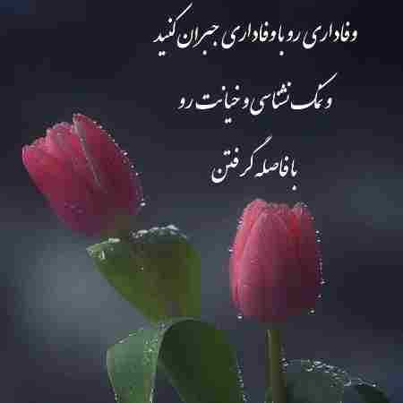 حمیرا ( ورژن هوش مصنوعی ) یه عمری پی عشق و یه خواب