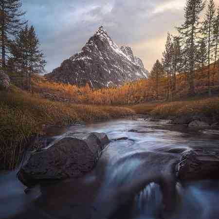 لیلا فروهر ( ورژن هوش مصنوعی ) عمـر منی تو