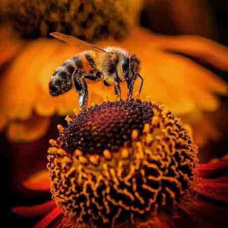 مهستی ( ورژن هوش مصنوعی ) اگه هدیه عاشق یک گلوبند ستاره است