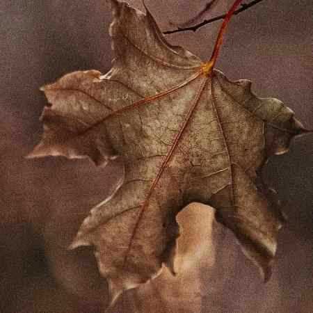 مهستی ( ورژن هوش مصنوعی ) رنجم نده این غم نهفته