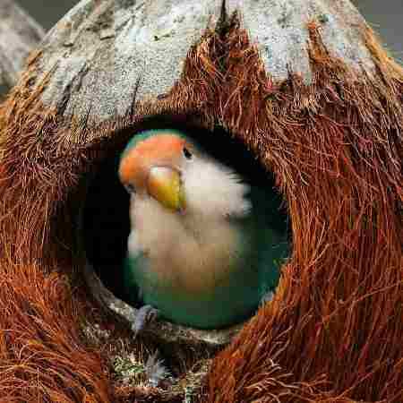 مهستی ( ورژن هوش مصنوعی ) روزی به چشم تو