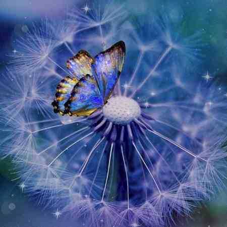 مهستی ( ورژن هوش مصنوعی ) وای چه بی رنگه