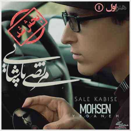 محسن یگانه و مرتضی پاشایی ( ورژن هوش مصنوعی ) سال کبیسه