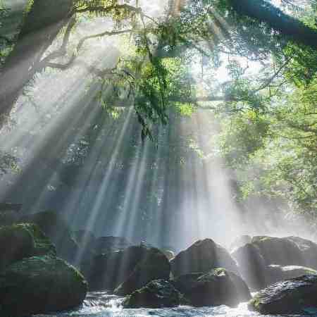 نوش آفرین ( ورژن هوش مصنوعی ) تویی اعتقاد من