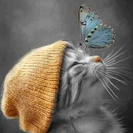 شادمهر عقیلی ( ورژن هوش مصنوعی ) خوش میروی در جان من