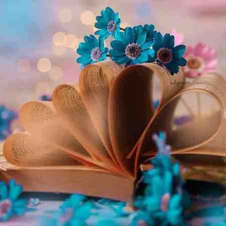 شکیلا ( ورژن هوش مصنوعی ) رسوای زمونه