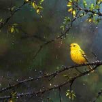 دانلود آهنگ شیلا ( ورژن هوش مصنوعی ) به نام تلخ و شیرین