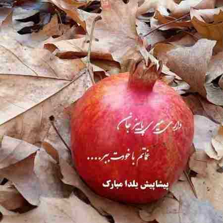 شهره ( ورژن هوش مصنوعی ) سینه ریز برات بسازم