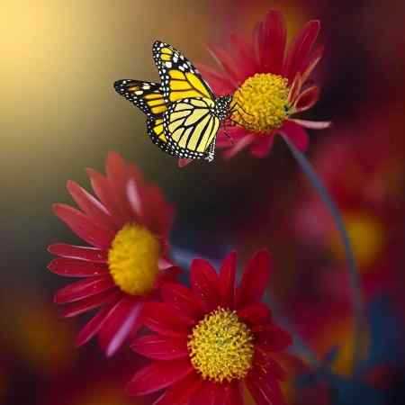 سوسن ( ورژن هوش مصنوعی ) چرا سنگ بخت من