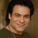 دانلود آهنگ اندی ( ورژن هوش مصنوعی ) به نام مثل تو پیدا نمیشه دلبر