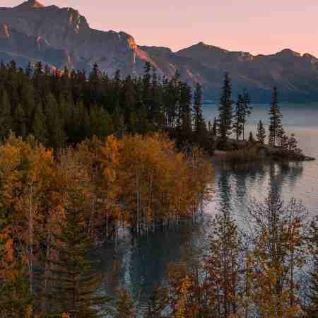 فتانه ( ورژن هوش مصنوعی ) جونت دست منه نگو نه
