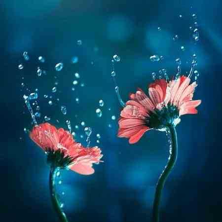 گوگوش ( ورژن هوش مصنوعی ) به هوای دیدن تو