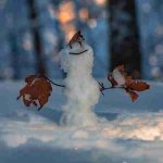 دانلود آهنگ گوگوش ( ورژن هوش مصنوعی ) به نام صبوری آخرش درده