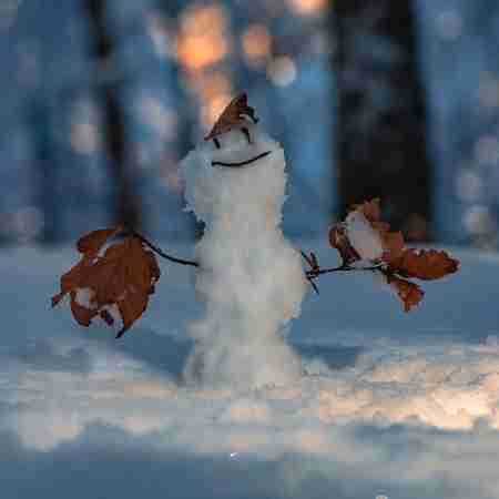 گوگوش ( ورژن هوش مصنوعی ) صبوری آخرش درده